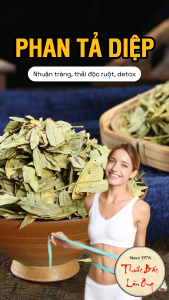 Lá phan tả diệp 500g trà phan tả lá xanh thơm không vụn hỗ trợ thải độc táo bón - Lãn Ông