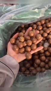 Hạt Macca Nứt Vỏ Dak Lak Hạt Dinh Dưỡng Macca sấy lạnh giàu dinh dưỡng không hôi dầu