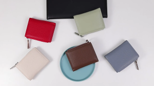 Fashion Mini Leather Card Holder With Coin Purse Wallet With Zipper For Women C307-38B