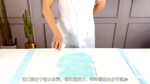 10Pcs Disposable Underpad Adult Bed Under Pad Urine Mat Super Absorbent Breathable Elderly Patient Maternal Care Mat