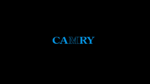 Camry Digital Kitchen Scale 5kg with Stainless Steel Platform - High Precision 0.1g