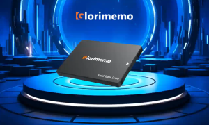 Glorimemo SATA III Solid State Drive 256GB 512GB 1TB SATA 3.0 HD SSD Hard Disk Drive Hdd Solid State Drive for Laptop