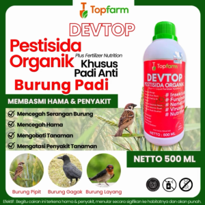 Obat Padi Anti Burung Dan Tikus / Obat Burung Makan Padi / Obat Padi Untuk Hama Burung / Obat Padi Anti Burung Pipit / Obat Pembasmi Burung Di Sawah / Obat Hama Burung Sawah