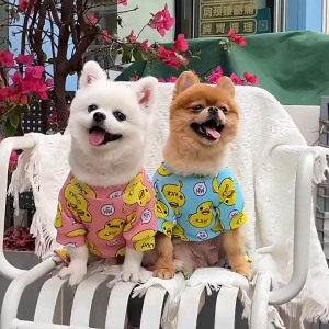 【Pre-order】 Whisker Dog duck print pajamas warm clothes Chihuahua pet puppy clothes dog jumpsu