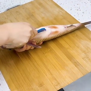 SK-C1143 Pisau Pembersih Usus Ayam / Pisau Pembelah Perut Ikan Udang Belut Multifungsi Alat Pembelah