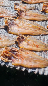500gr Khô Cá Ngát Xẻ Tẩm Vị Nguyên Con Thơm Mới Thịt Ngon -VỰA KHÔ MINH TRIẾT