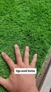 2m x 55m | Rumput Sintetis Swiss 3cm | Hijau Tebal Halus | Premium
