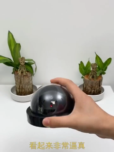 Fake CCTV Virtual Hemisphere Simulation Camera Simulation Monitoring Fake Monitoring Fake Camera