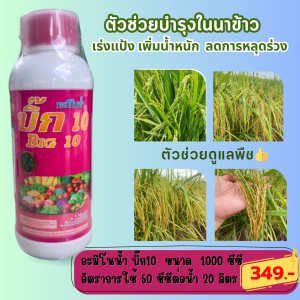 อะมิโนน้ำ เร่งเเป้ง เร่งเต่ง เพิ่มน้ำนม เพิ่มน้ำหนัก ลดการหลุดร่วง