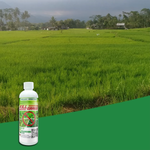 BUY 2LITERS KILLGRASS AND GET  1LITER RED MAGIC FOR PLANTS