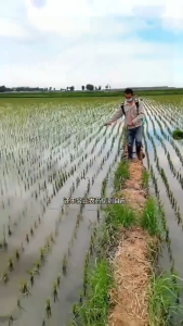 X-Tools stik sprayer panjang elektrik 2.6/3.6METER Stik teleskopik panjang