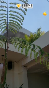 Beeme Honey Sunscreen Lotion with Niacinamide SPF 50+++ - Bee Me Suncreen Anak & Ibu | Sunblock Bayi