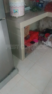 Aktif Sprayer Anti Kecoa Obat Pengusir Kecoa Racun Pembasmi Kecoa Kecoak Bugs Buster Terampuh
