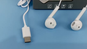 Lenyes LF67 Earphone Type C Super Bass Hifi Stereo Surround with Microphone Volume Control Original