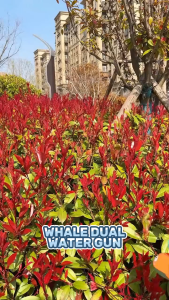 Whale Dual Water Squirt Ages 3+ Soaker Beach and Bath Toy Gift For Boys and Girls by WISHLAND