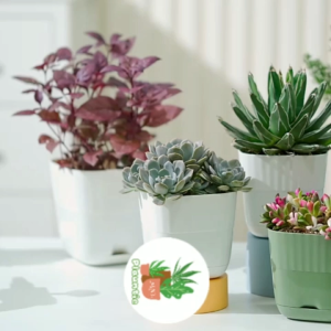 Nordic Elegant Resin Flower Plastic Pots: 2 Sizes & 3 Colors