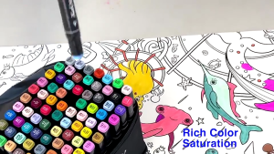 Use That TouchNew Marker 80 Colors Marker Set: Touch Five Graphic Art Tip Drawing Marker Pen Anime Marker Pens