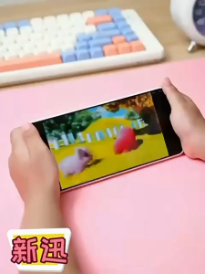 TAIYO Sound Flash Card Inggris Mandarin Early Education Billingual Suara Kata Belajar Bahasa Mainan