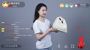 2228 Led Fill Light Handheld Studio LED Lighting Kit Desktop Dimmable LED Video Light