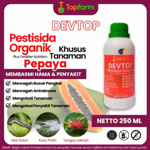 Obat Jamur Pohon Pepaya / Obat Anti Perontok Buah Pepaya / Obat Semprot Pepaya Daun Kuning / Obat Bercak Daun Pada Pepaya / Obat Bercak Daun Pepaya / Obat Jamur Awal Tanam Pohon Pepaya