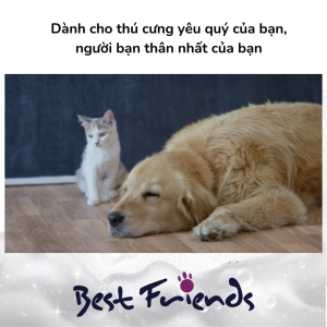 Hộp 200 Tờ Khăn Ướt Chăm Sóc Thú Cưng Làm Sạch Chó Mèo BEST FRIENDS SUPA VALUE