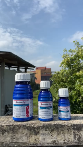 FUNGISIDA - Amistartop 325 SC - 50ml