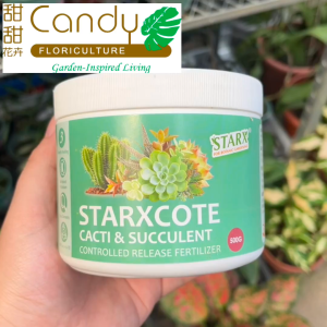 (SG Seller) Starxcote Cacti & Succulent Controlled Release Fertilizer 500g (StarX)