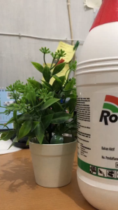 Roundup Herbisida 486SL 1 Liter Pembasmi Rumput Liar & Gulma