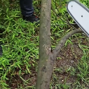 Rantai Mata Chainsaw Bar & Refil Chainsaw Mini 4/6/8 Inch