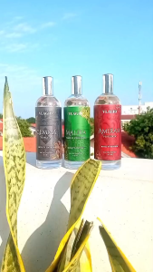 Vlagio Eau De Parfum Royalty Edition 110ml | Parfum Cowok Tahan 24 Jam Wangi | Parfum Pria Tahan Lama | Parfum Vlagio