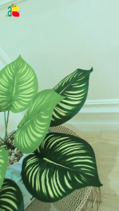 Tanaman Hias Artifisial Daun Keladi Zebra B8240 Warna Hijau Elegan untuk Dekorasi Rumah