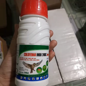 Kosho Chlorfena 240SC Hiệu chim sâu  Chai 240ml diệt trừ sâu