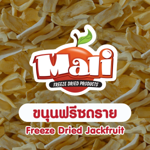 ขนุนฟรีซดราย เกรดพรีเมี่ยม 30 / 50 กรัม โดย มะลิ ฟรีซดราย - Premium Freeze Dried Jackfruit 10 / 30 / 50 g. by Mali Freeze Dried