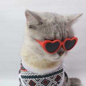 Aksesoris Kucing Kacamata Lucu Murah - Buki Korean Love Glasses