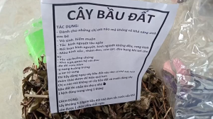 1kg cây bầu đất sấy khô