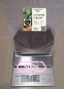 🫘🥜🌿เมล็ดพันธุ์พืชคลุมดินตระกูลถั่ว#เพอราเรีย (Pueraria phaseoloides) ขนาด 500g