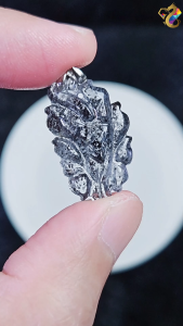 Collection Grade Black Stormy Aquamarine 9-Tailed Fox S925 Silver Pendant