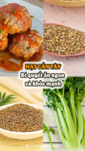 Celery Seed hạt cần tây 100g ướp thịt gà chiên KFC pha trà rất tốt cho sức khỏe - Chợ Thảo Dược Việt