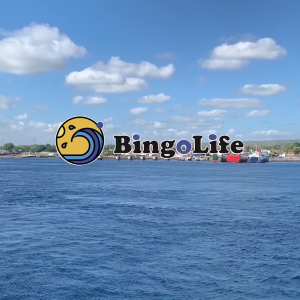 BingoLife Pancing Terbang Tali Pancing Nilon Putih Kecil Halus Senar Pancing Kompetitif 0.053mm~0.37mm Kuat 1kg~40kg Fishing Line