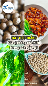 Hạt tiêu trắng 100g tiêu sọ cay thơm gia vị tẩm ướp khử mùi tanh tăng hương vị cho món ăn