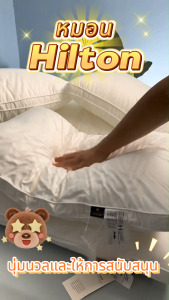 หมอน HILTON หมอนพื้นที่เย็นสบาย สำหรับการนอน 5 ดาว วัสดุ 100% Cotton ระดับ 600g/800g/900g ดีไซน์ทันสมัย
