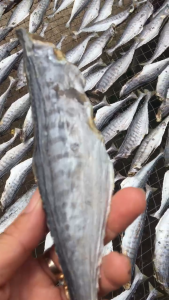 Khô Cá Thu Đã Bỏ Đầu Vị Vừa Ăn KHÔNG MẶM - TÚ VY FOOD