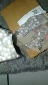 MURAH HERBAL JAGUNG JALI KERING/COIX LACRYMA 1KG