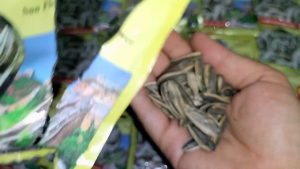 Kwaci Bison Isi 20: Kualitas Tinggi & Desain Unik