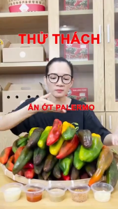 [TOÀN QUỐC] Ớt Palermo Đà Lạt - giòn ngọt thanh mọng nước tươi ngon