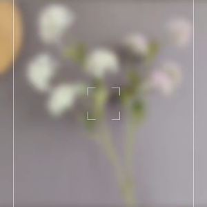 (4 kuntum) Bunga Snowball Hydrangea Artificial/Bunga hias dekorasi