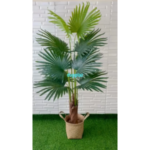 Dekorasi Studio Apartemen dengan Pohon Plastik Tanaman Artificial Palem Sadeng T160