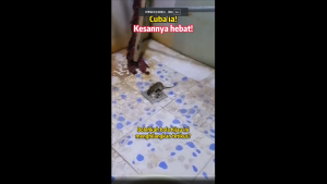 Rat repellent pill Car insect repellent mothball Rat repellent pill cross border outdoor indoor cockroach centipede pest repellent pill