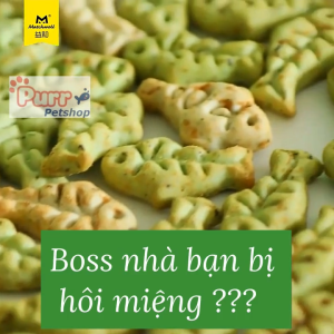Bánh cá Catnip Biscutis Thanh cỏ mèo mix thịt gà Catnip trái bơ Bánh thưởng cho Mèo Cỏ catnip hỗ trợ tiêu hóa tiêu búi lông sạch răng thơm miệng