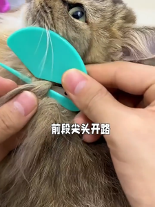 hooh pet🌈หวีสางขนสัตว์เลี้ยง หวีอเนกประสงค์ อุปกรณ์ตัดขนสุนัข แมว ที่เปิดจดหมาย ซองจดหมาย ที่เปิดกระดาษ ตัดกล่อง